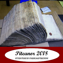 Piteanor 2018
